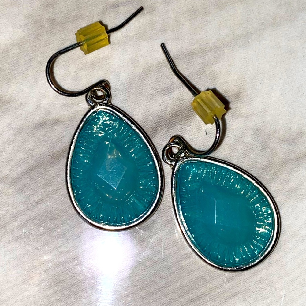 Blue Opal Earrings